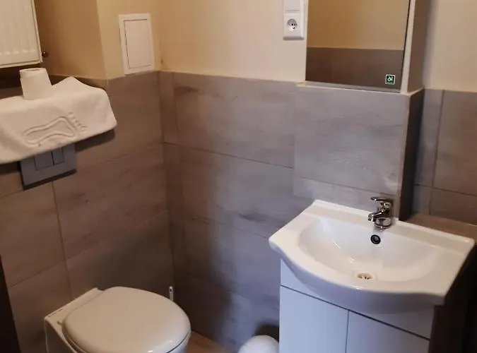 Отель Palac Lasow Piensk